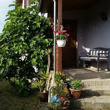Urlaub Im Elsass Apartman Artolsheim Kültér fotó