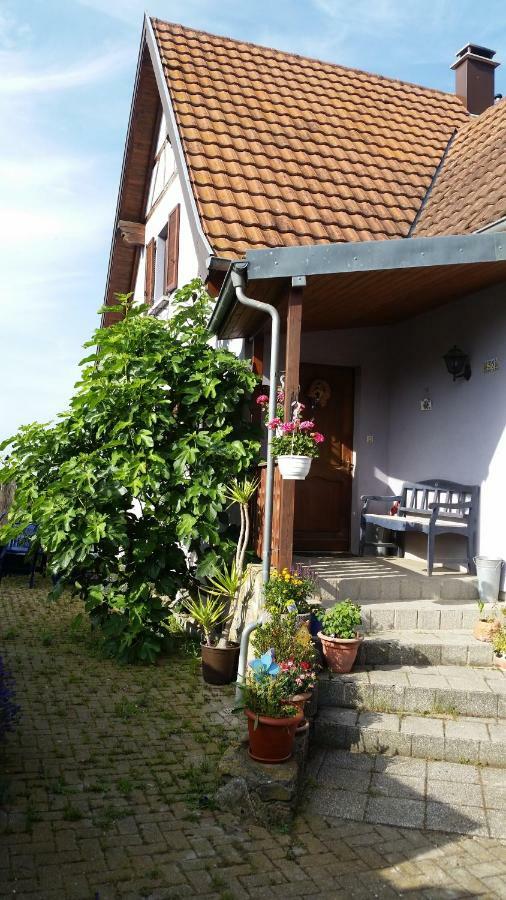 Urlaub Im Elsass Apartman Artolsheim Kültér fotó